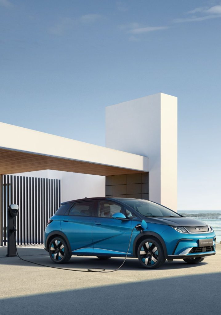 byd dolphin